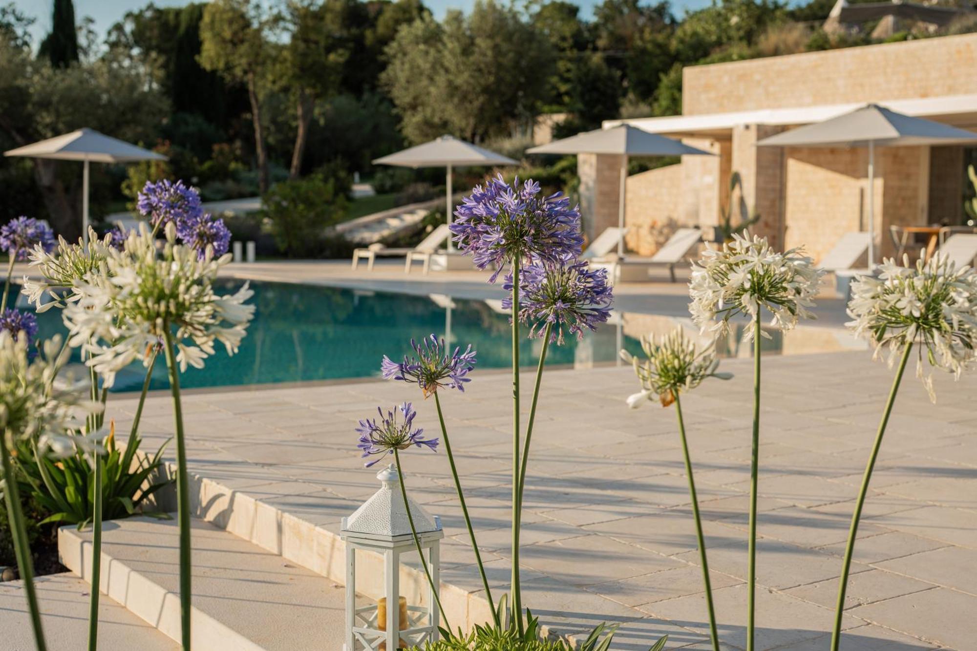 치스테르니노 Essenza Relais Contemporaneo B&B 외부 사진